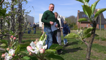 🎥 Bloesemwandeling bij LemBi Fruit in cruciale periode voor telers