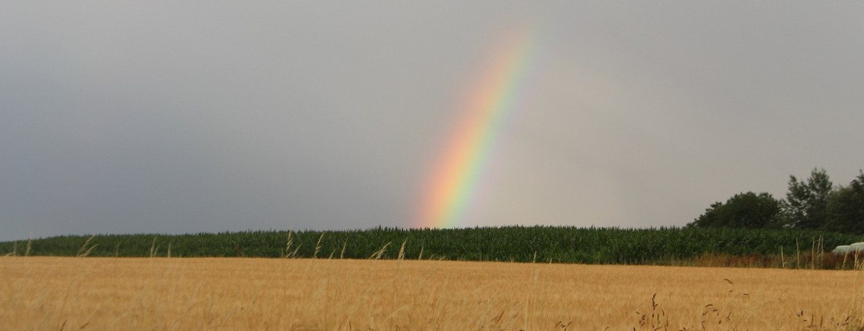 regenboogonweer