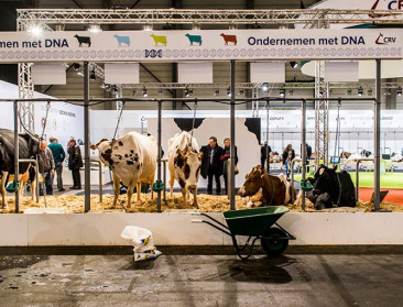 70.000 bezoekers op hoopvolle Agriflanders-editie