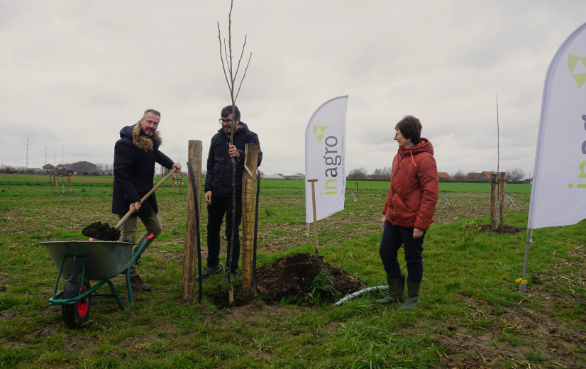 Nieuw agroforestry-perceel lost nood aan praktijkervaring in