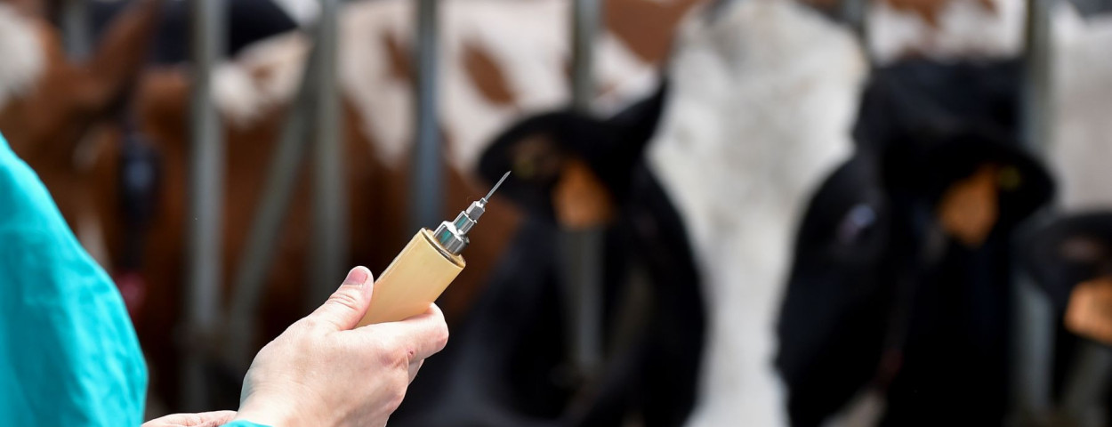 dierenarts vaccinatie _EU