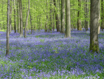 EU worstelt met groene ambities voor 2030