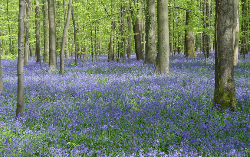 EU worstelt met groene ambities voor 2030
