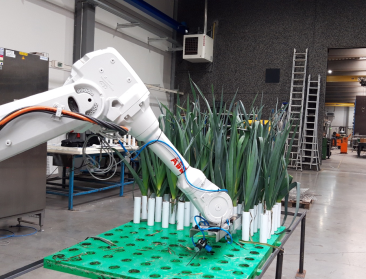 Innovatiefonds Provincie Antwerpen: tot 1 miljoen euro steun voor projecten agro-business