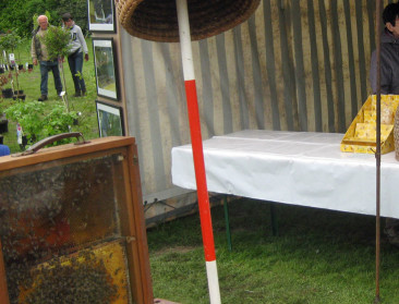 Federaal bijenplan onderworpen aan publieksraadpleging