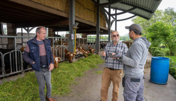 Zorgboerderij Widar: “Landbouw werkt therapeutisch voor onze bewoners”