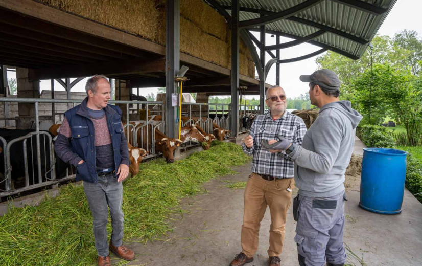 Zorgboerderij Widar: “Landbouw werkt therapeutisch voor onze bewoners”