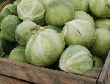 Frankrijk komt niet weg met staatssteun aan tuinders