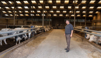 Verliest Zutendaal zijn laatste boer door afroming NER's?