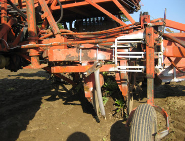 Witloofboeren doen keten nadenken over prijzenspiraal