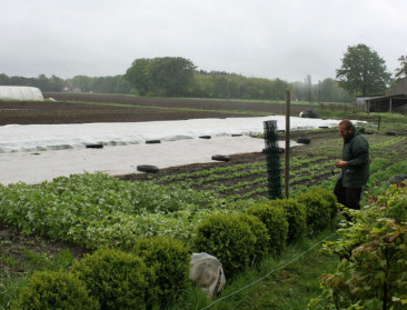 Lidstaten vinden compromis over Europese biowetgeving