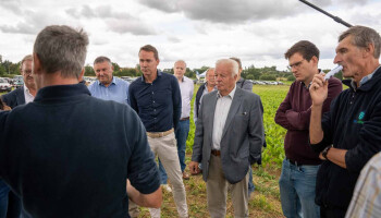Bietentelers staan voor recordjaar, maar maken zich zorgen om prijs en toekomst teelt