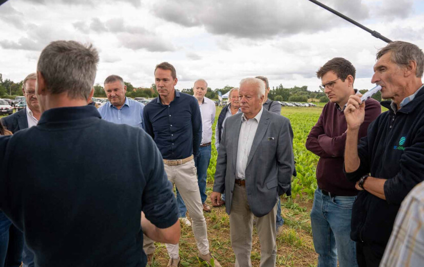 Bietentelers staan voor recordjaar, maar maken zich zorgen om prijs en toekomst teelt