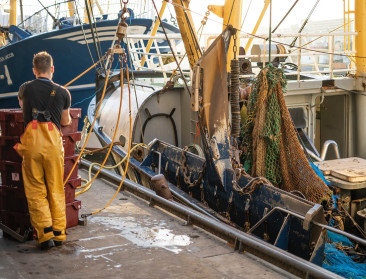 Crevits wil snel duidelijkheid over visquota