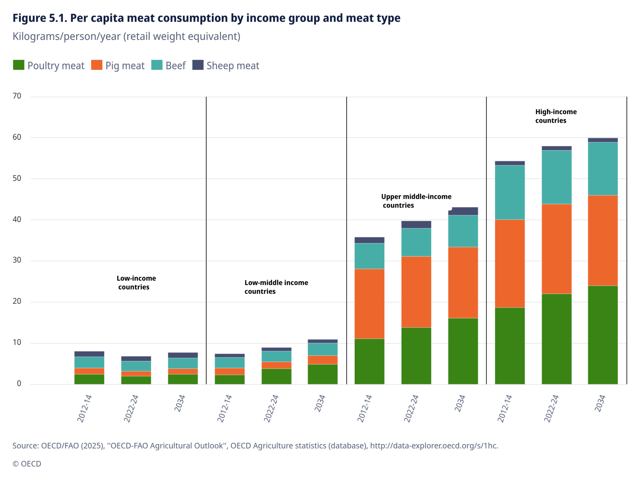 export-2025-11-19T23_27_50.230Z