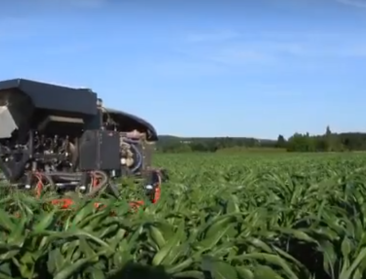 Robots telen 50 hectare mais