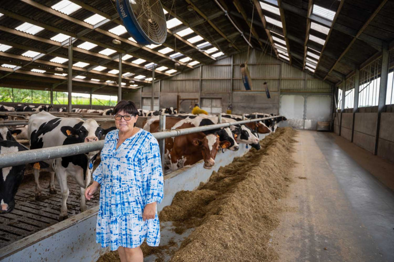 Breykenshoeve_Riet Verschueren