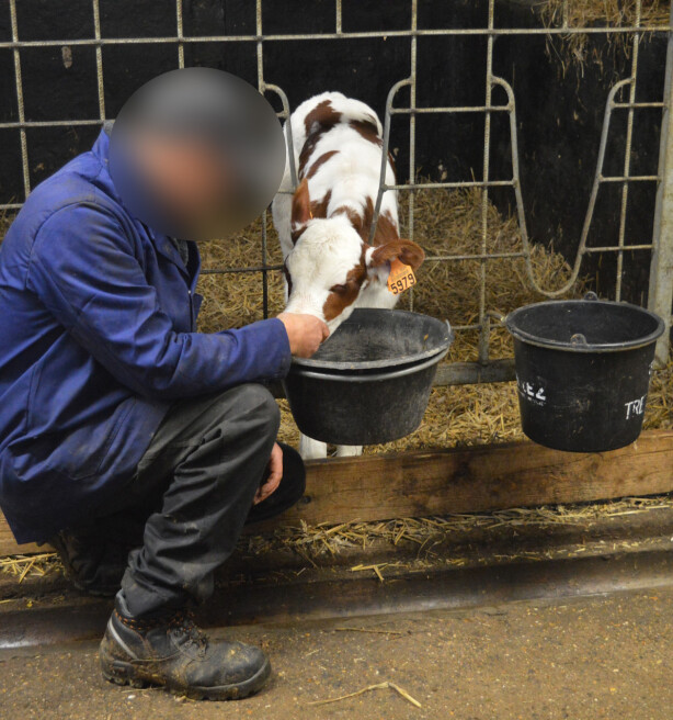 Een bijzondere boerderij in Ruiselede: "Als ik werk, vergeet ik dat ik gedetineerde ben"