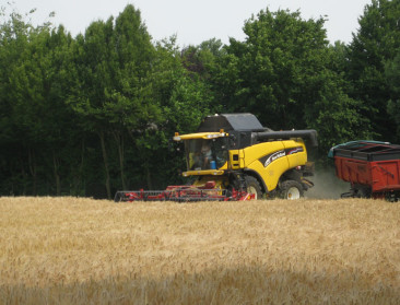 Brouwers maken duurder bier vanwege slechte gerstoogst