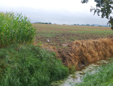 Mestbank controleert naleving teeltvrije zone in 2018