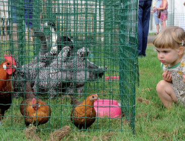 Levend Erfgoed Expo moet het zonder pluimvee stellen