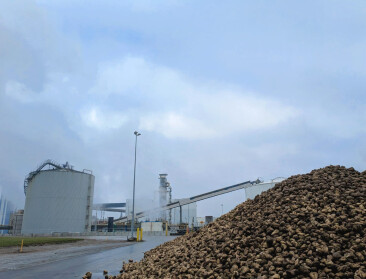 Suikerbietsector ziet acute crisis op de Europese suikermarkt en vraagt onmiddellijk actie van EU