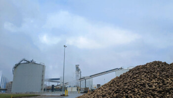 Suikerbietsector ziet acute crisis op de Europese suikermarkt en vraagt onmiddellijk actie van EU