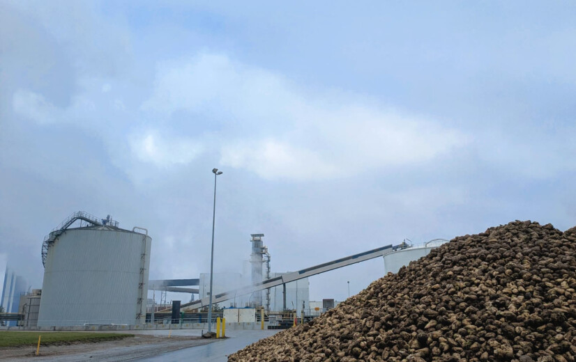 Suikerbietsector ziet acute crisis op de Europese suikermarkt en vraagt onmiddellijk actie van EU