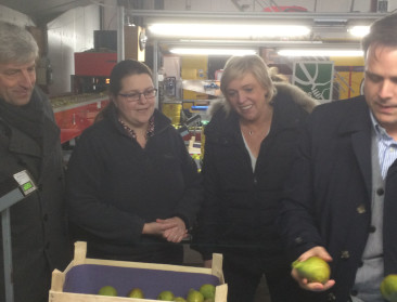 ABS vraagt uitbreiding gelegenheidsarbeid fruitsector