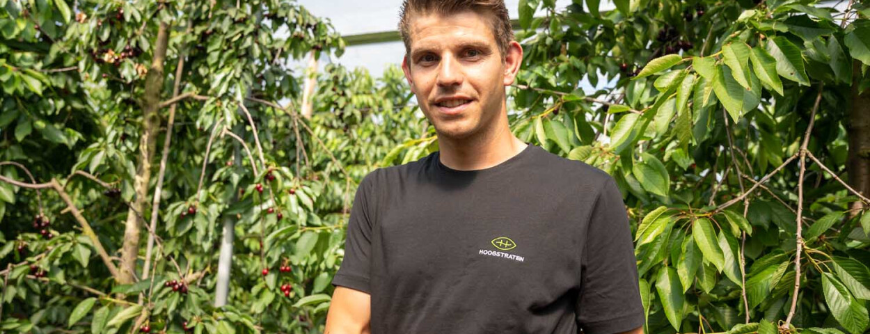 Gertjan Hereijgers, kersenteler Hoogstraten