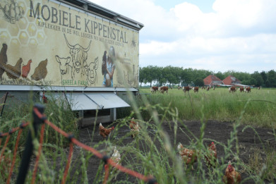 Mobiele kippenstal-klein