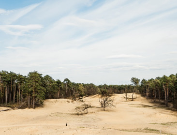Ook kandidatuur Bosland als Nationaal Park verliest steun bij lokale besturen