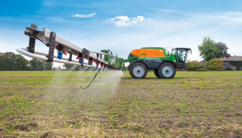 Milieubewegingen dagen Vlaamse regering voor rechter vanwege pesticidenbeleid