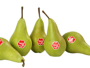 "Met Migo-peer monocultuur van Conference doorbreken"