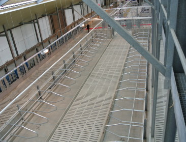 ILVO nodigt melkveehouders uit voor Melkcafé