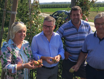 Veel fruit draagt de littekens van een bewogen seizoen