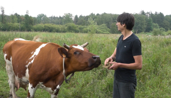 ? VIDEO: Bioboer uit Diest is eerste professionele landbouwer met Levend Erfgoedhof-label