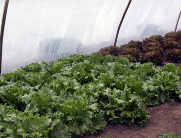 Europa en Chili hebben akkoord over handel in bio