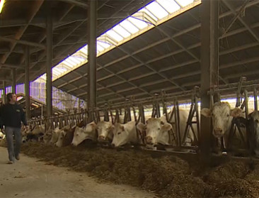 Welke rol speelt veehouderij in de klimaatopwarming?