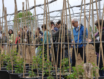 Kiwibestelers timmeren aan de weg naar marktsucces