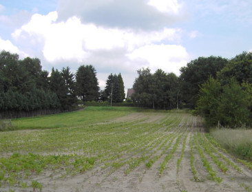 Subsidie voor voedselbossen
