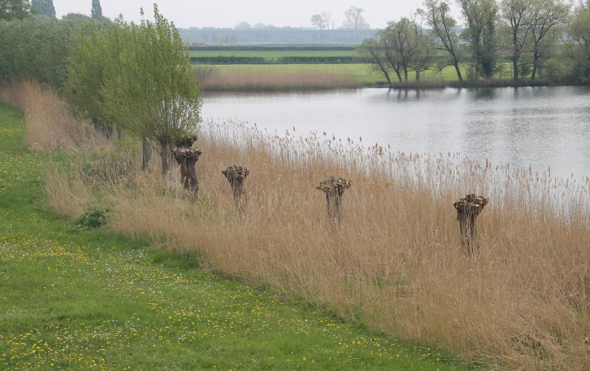 Opinie: "Betaal boeren voor natuurbeheer, het is de logische weg vooruit"