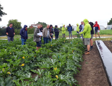 Inagro test biologisch afbreekbare mulchfolies