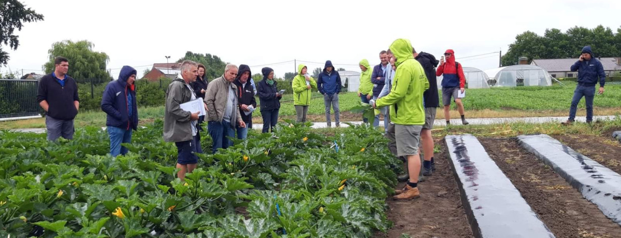 website foto cell agri mulchfolie Inagro