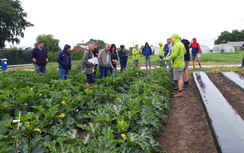 Inagro test biologisch afbreekbare mulchfolies