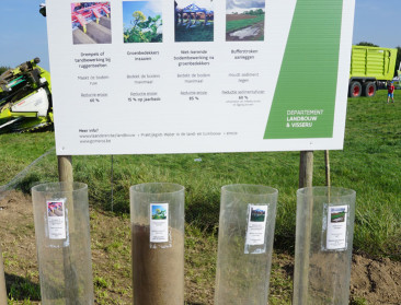 Beleidsontwikkeling wordt belangrijker binnen nieuw GLB