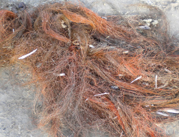 22.000 handtekeningen voor verbod op warrelnetten