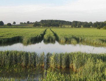 Landbouwstatistiek herinnert aan annus horribilis 2016