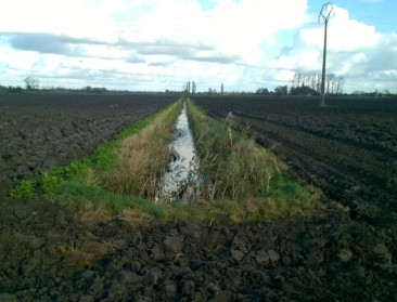 Hoe werkbaar zijn beschermingsstroken? Nieuwe regels op komst in 2026