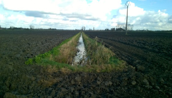 Hoe werkbaar zijn beschermingsstroken? Nieuwe regels op komst in 2026